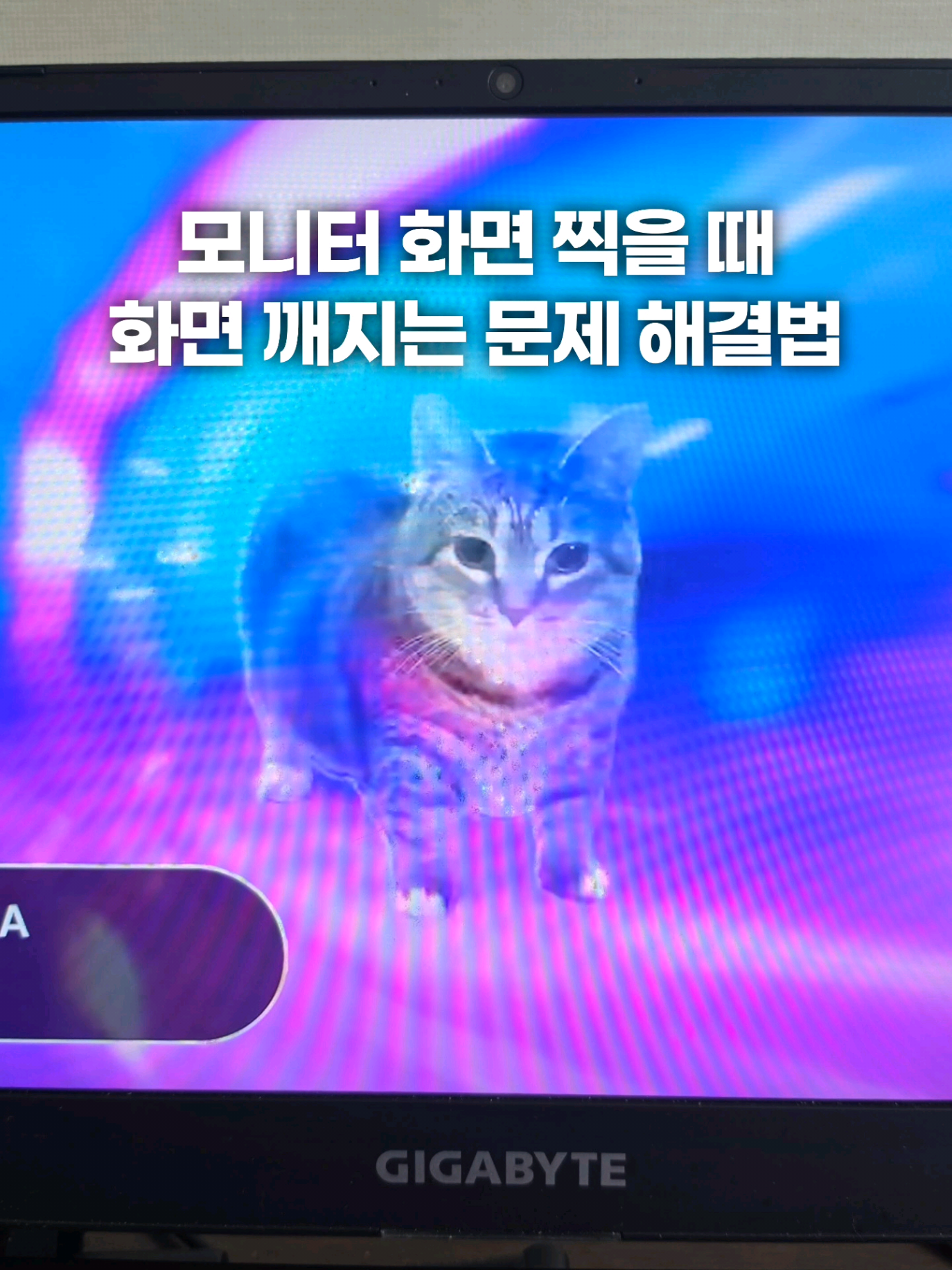 @주니웨어 주니