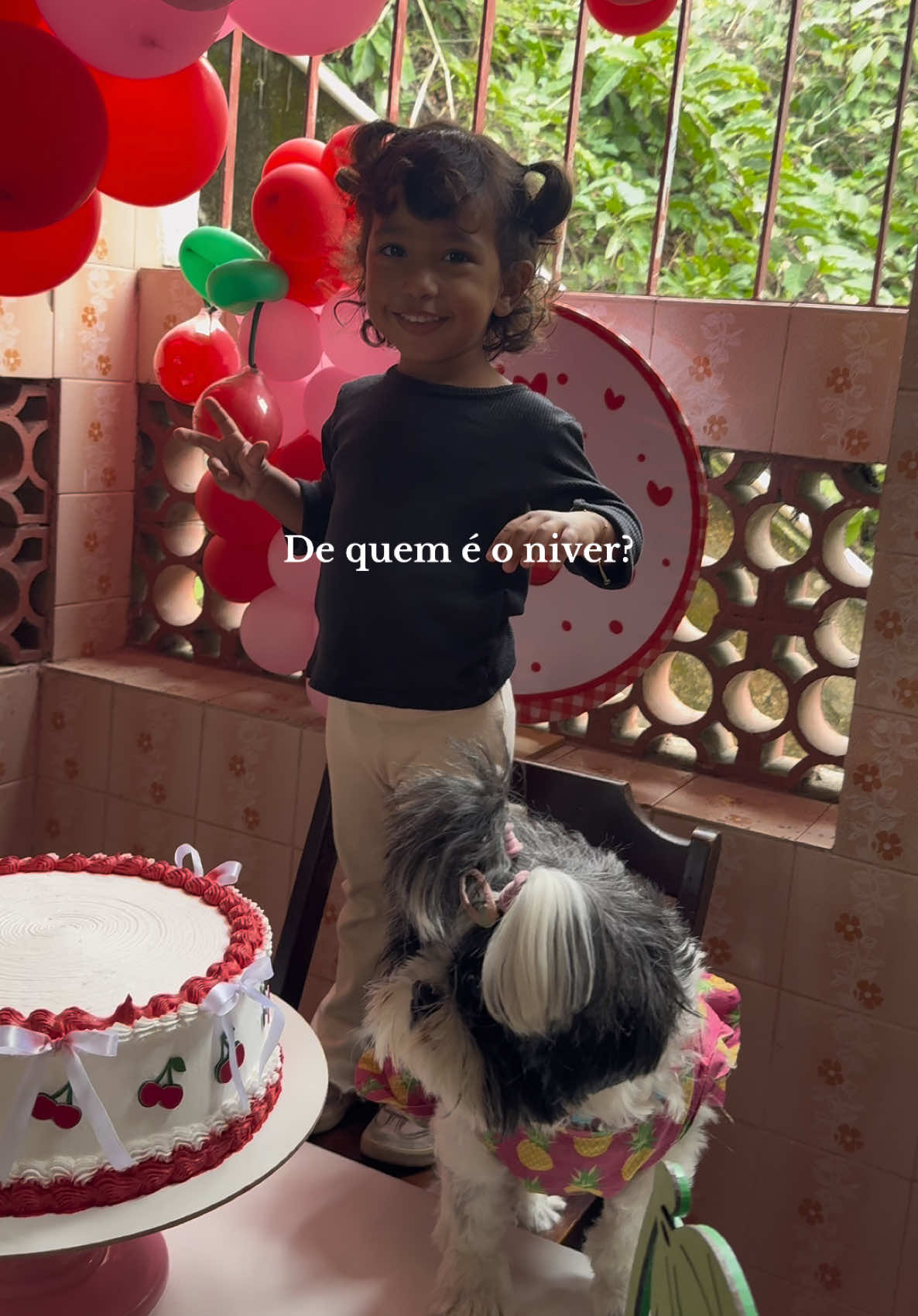@Catarina Petrucio