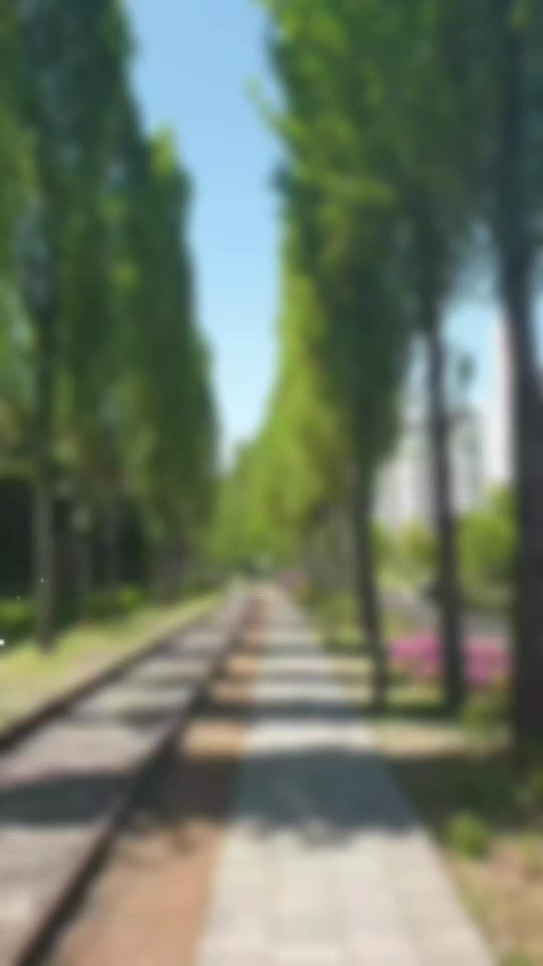 @여행.건강 전도사