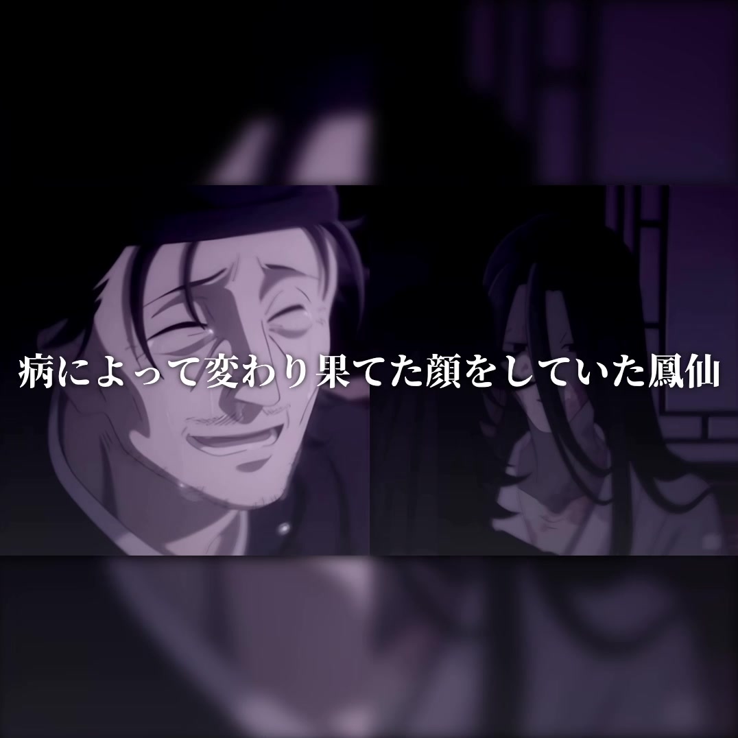 @ほたるいかN極