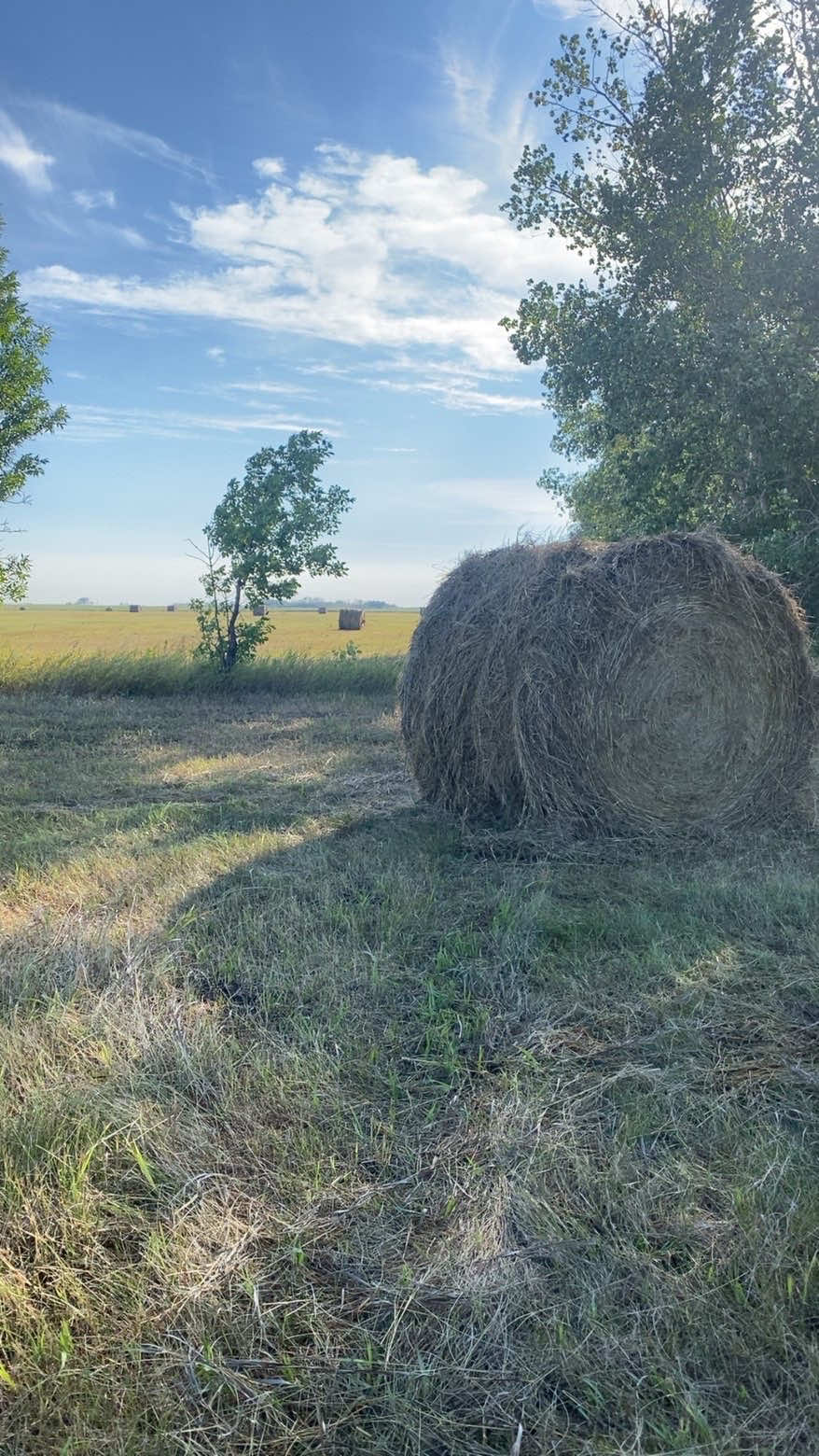 @mybonnyfarms