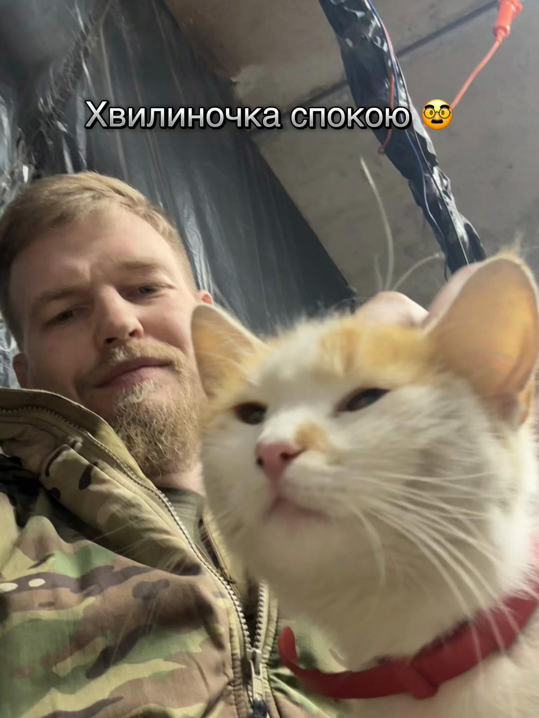 @Андрей
