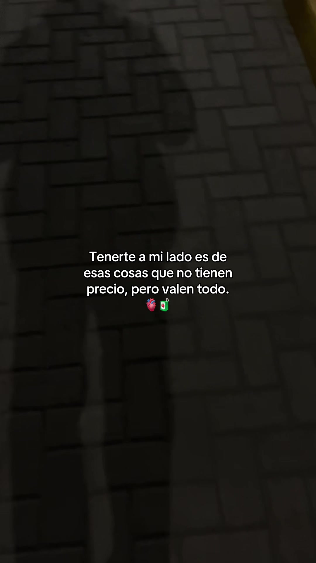 @Gatocix 🐱