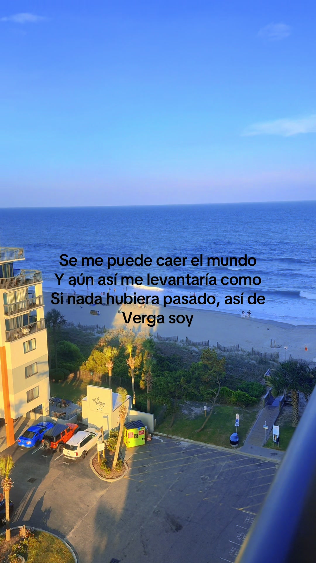 @Canelita 🦂