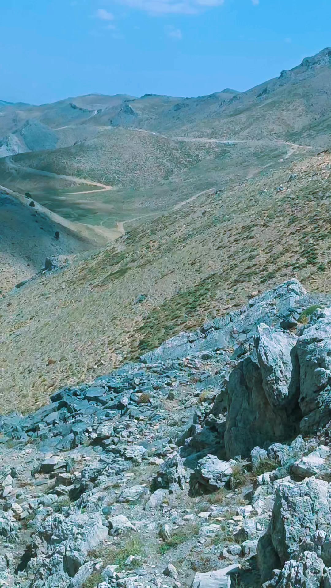 @DAĞCI.46