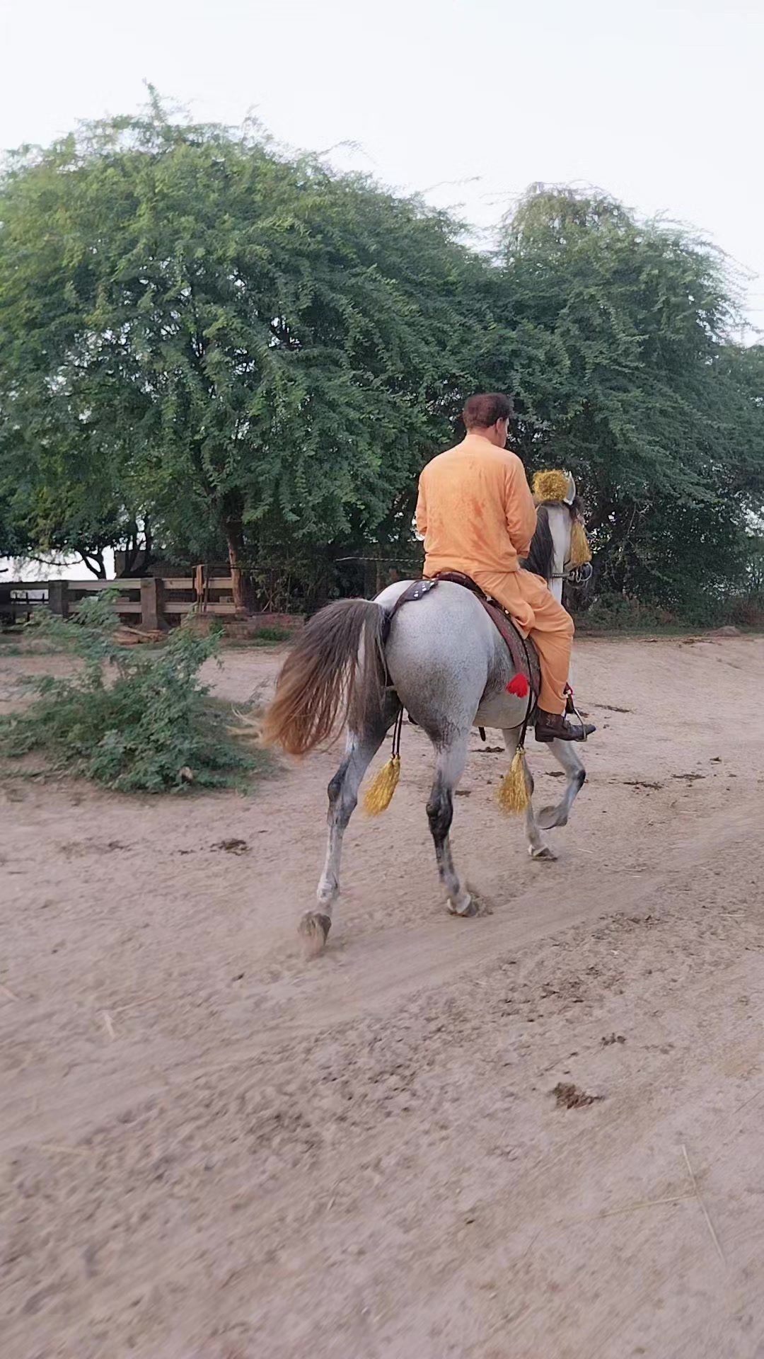@قاسم علی