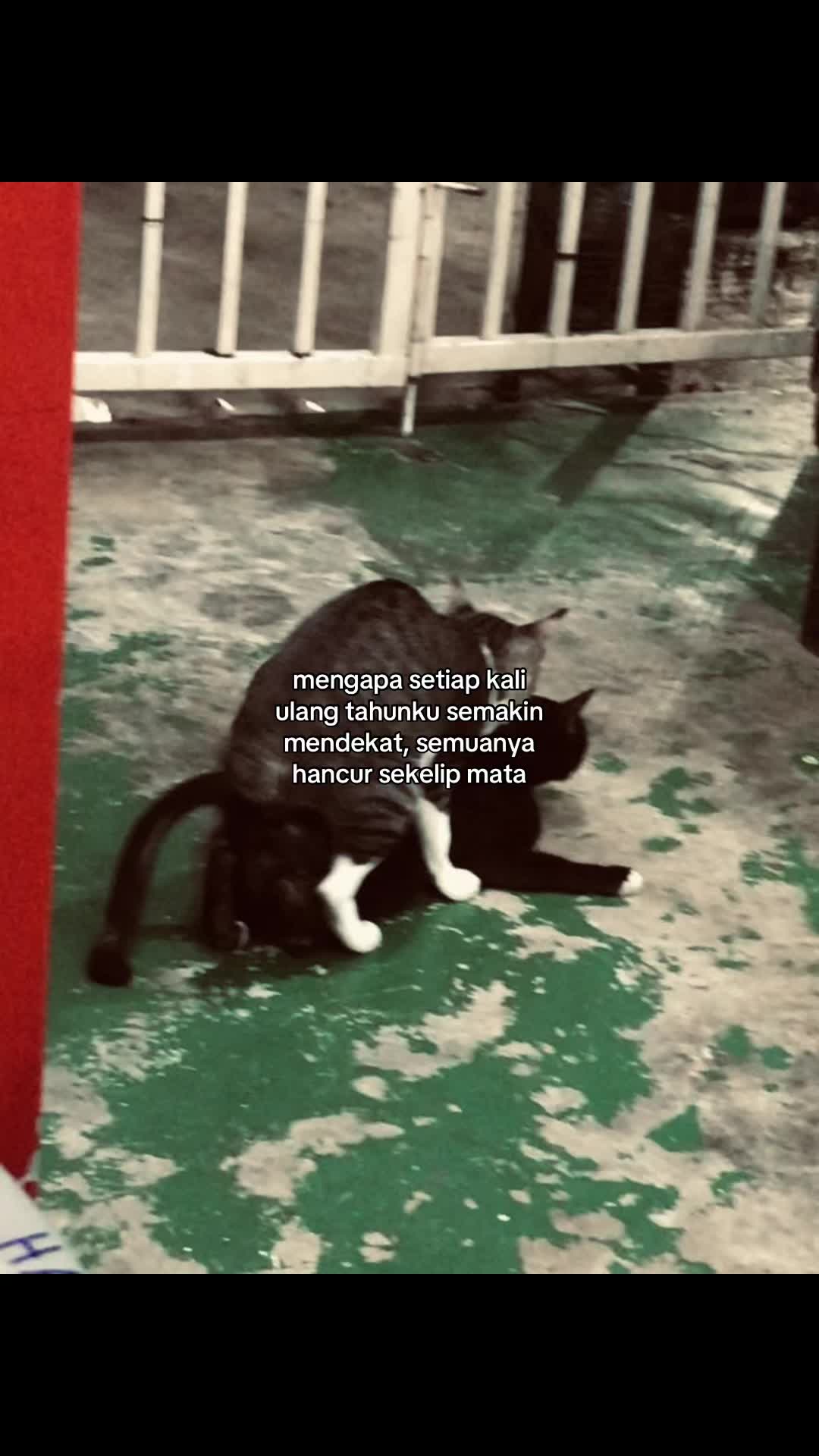 @𝑄