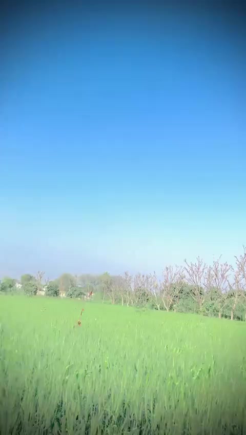 @اجمل سگو ♥️💔💜💯💘🖤💟💌💔