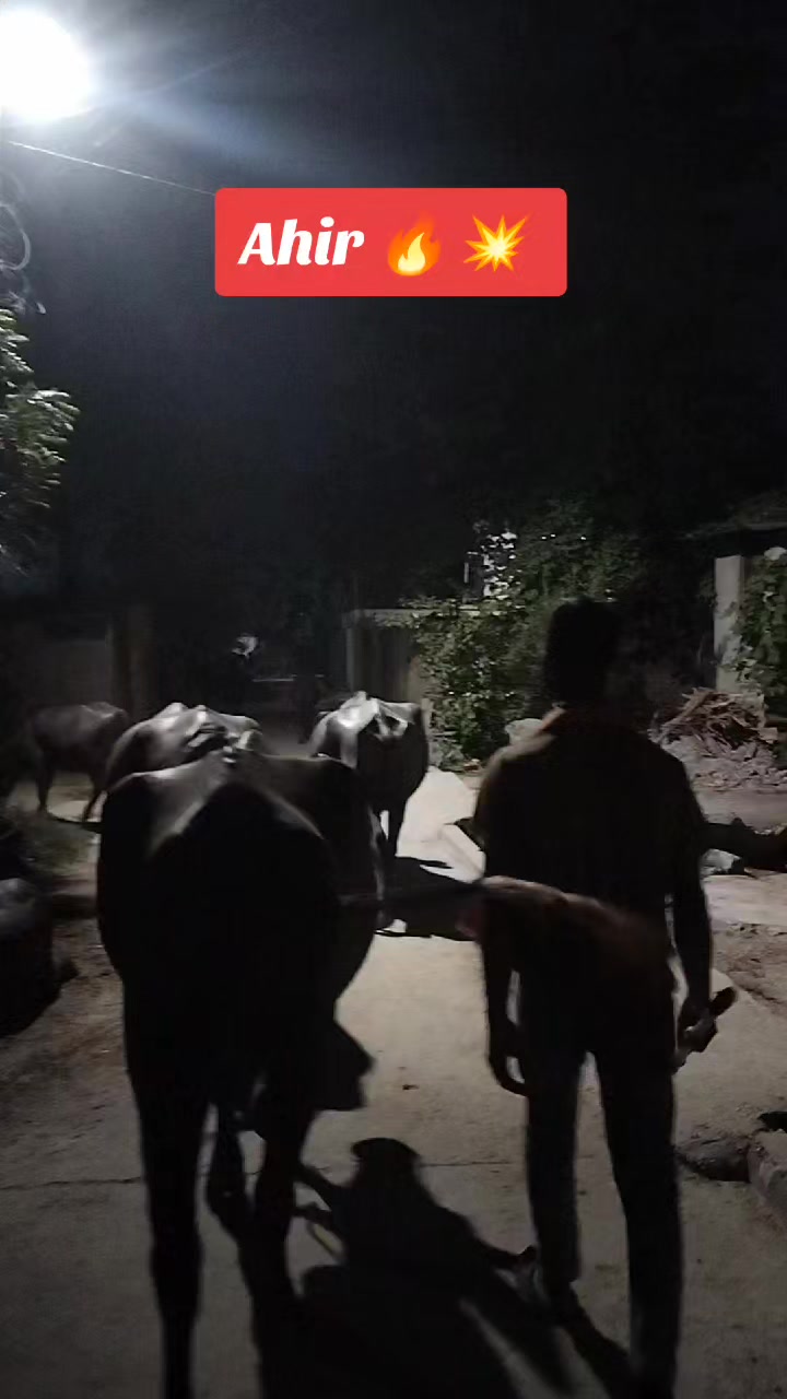 @बदमाश अहिर 🦋🦋