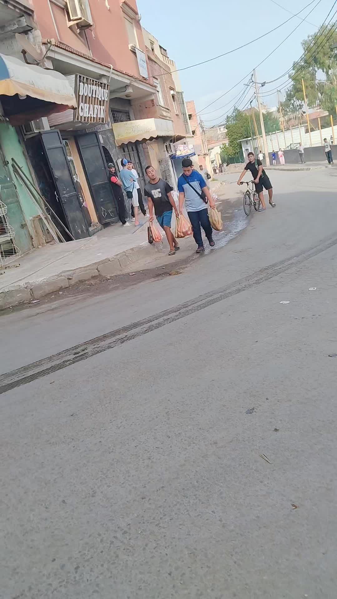 @toufiknapoli