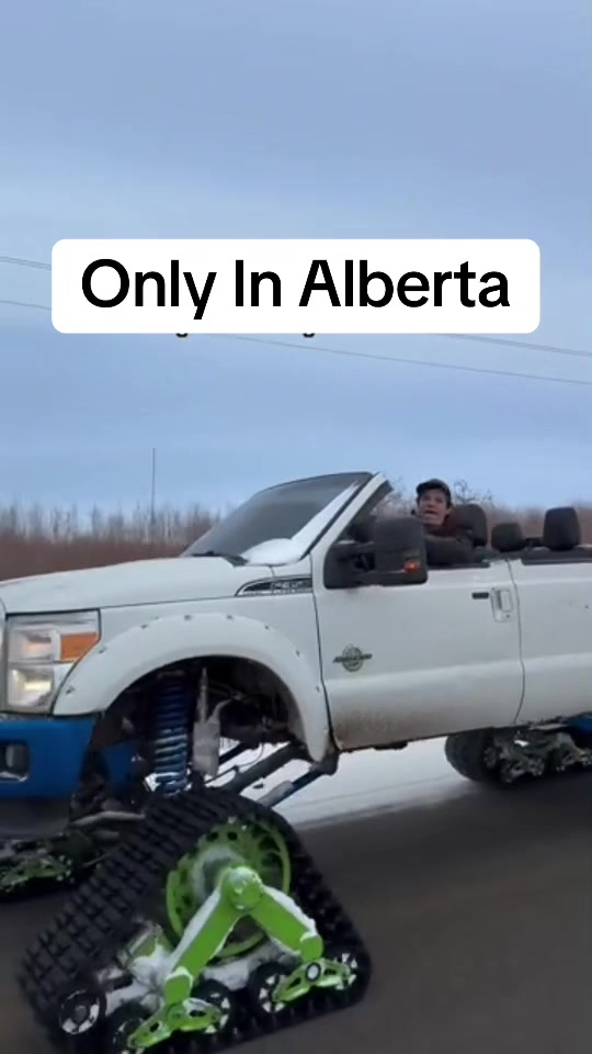 @Alberta Pulse
