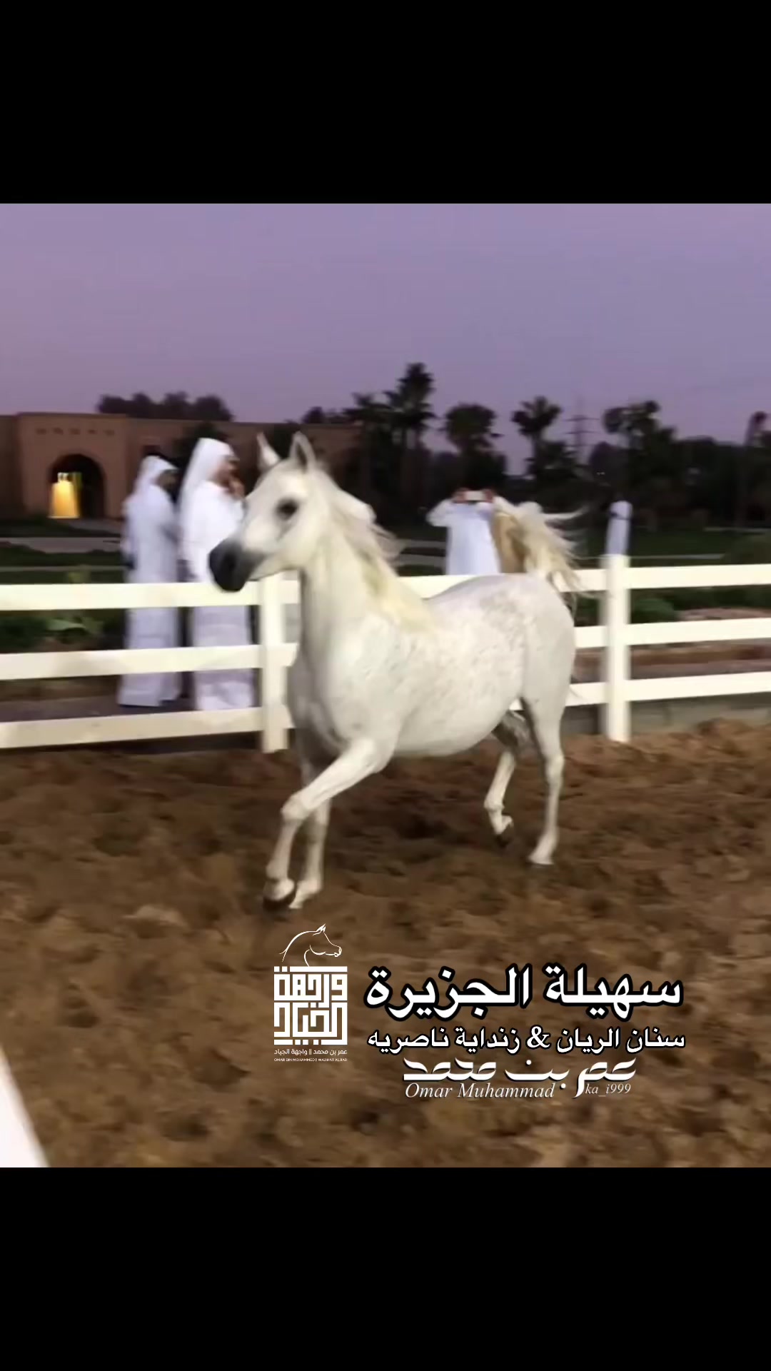 @عمر بن محمد | واجهة الجـياد🏅
