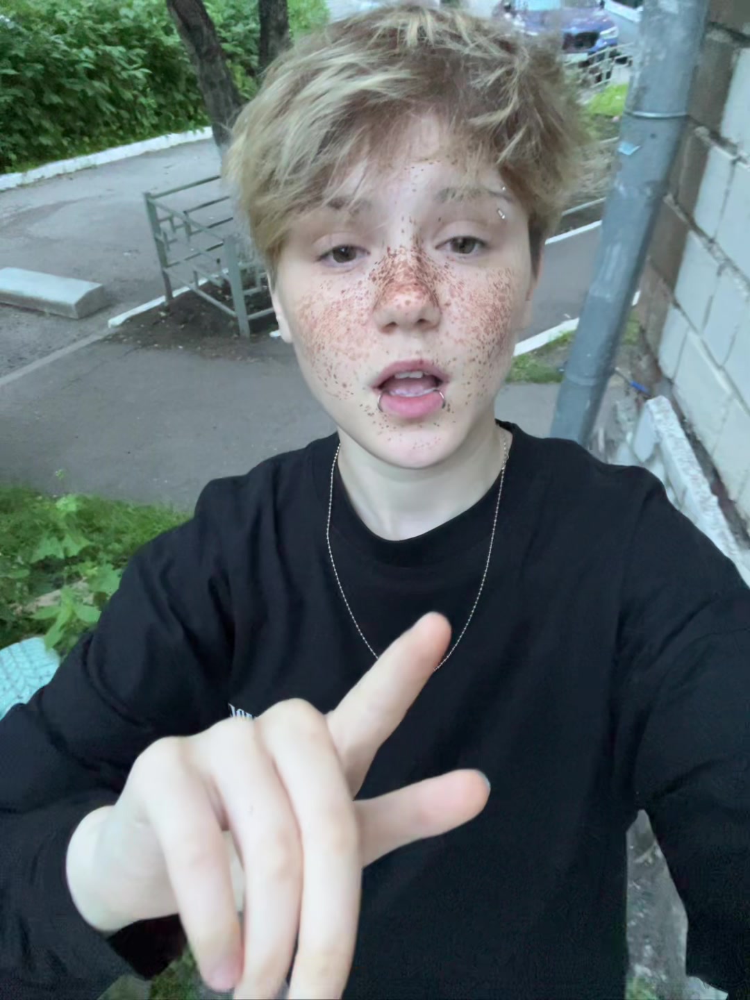 @Eine Blutspur ✄