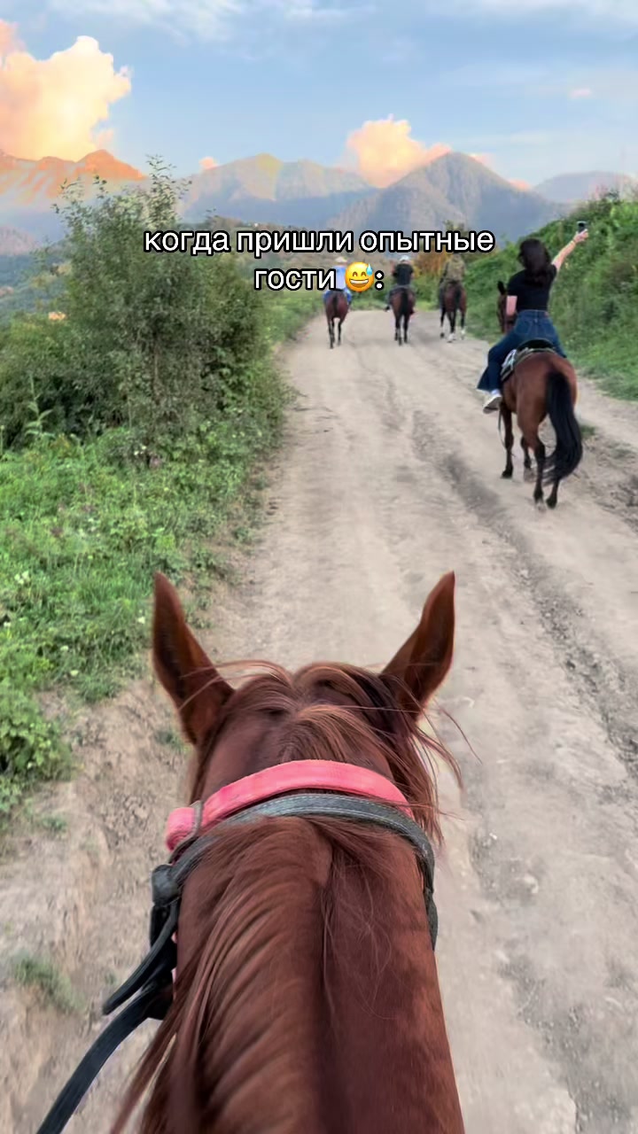 @akshatau_horses