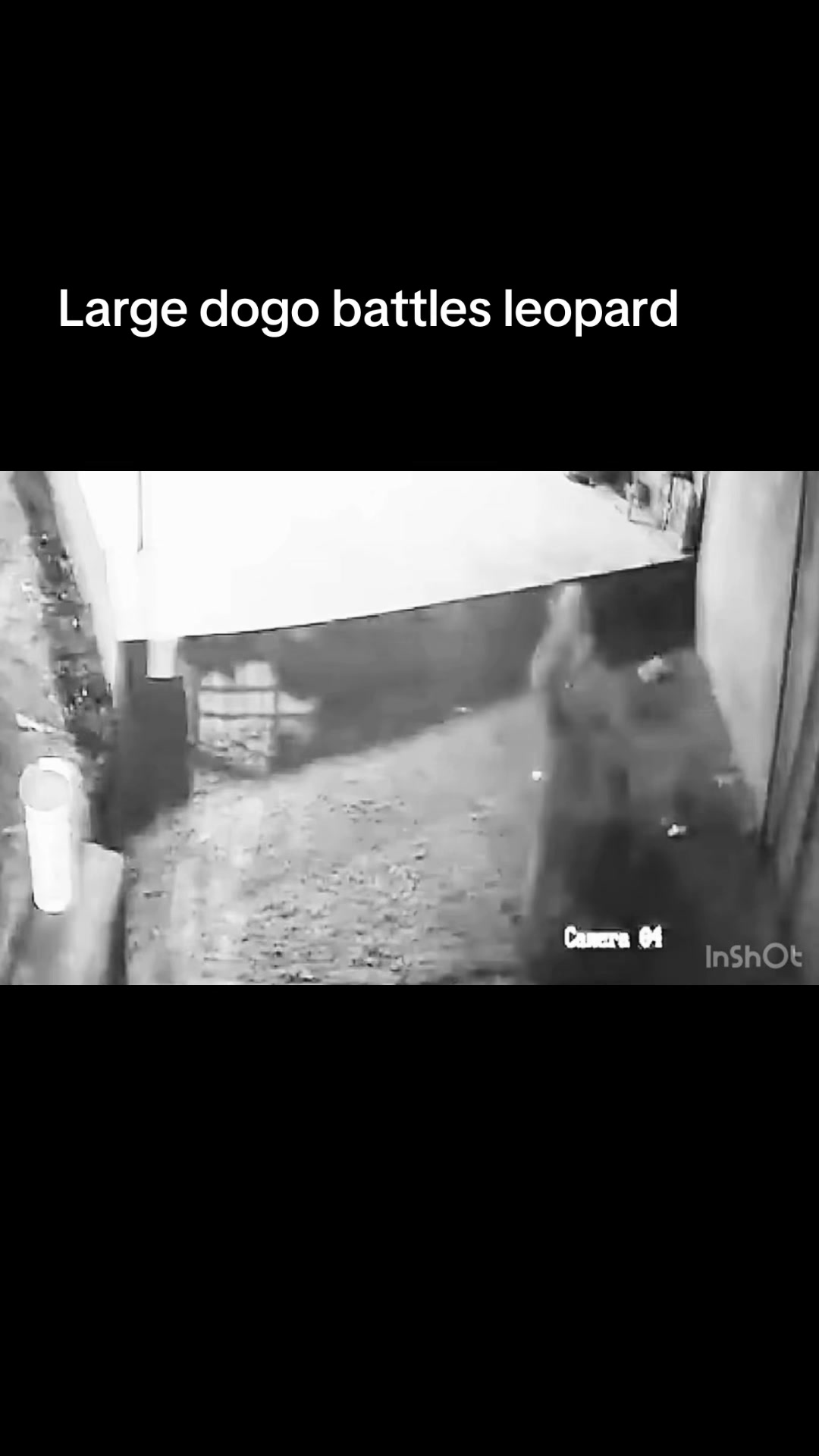 @InTheWildZone