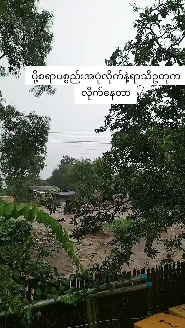 @zunthetpaing