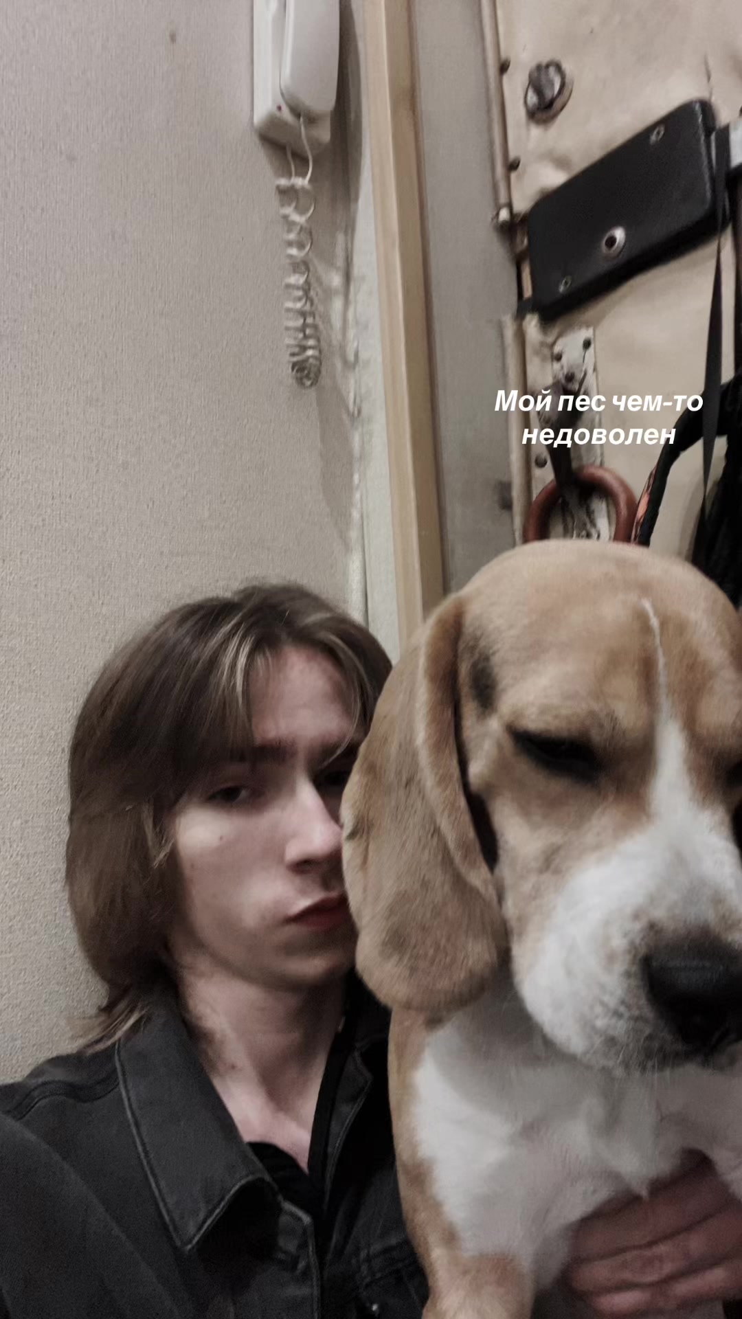 @crsdsmr