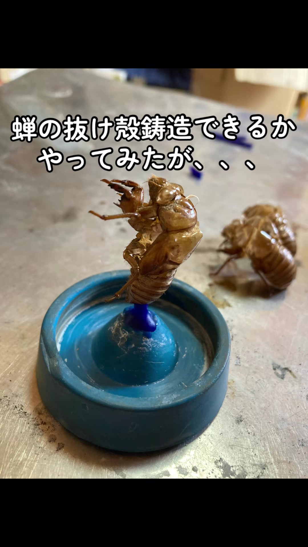 @Abyssal Casting