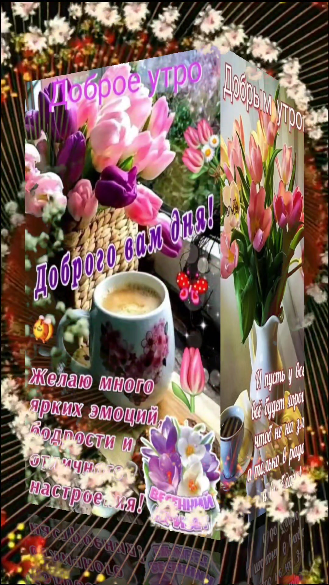 @nadezhdasvet1