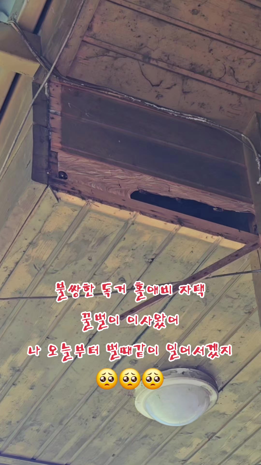 @나는 자연인이다 ~🤪
