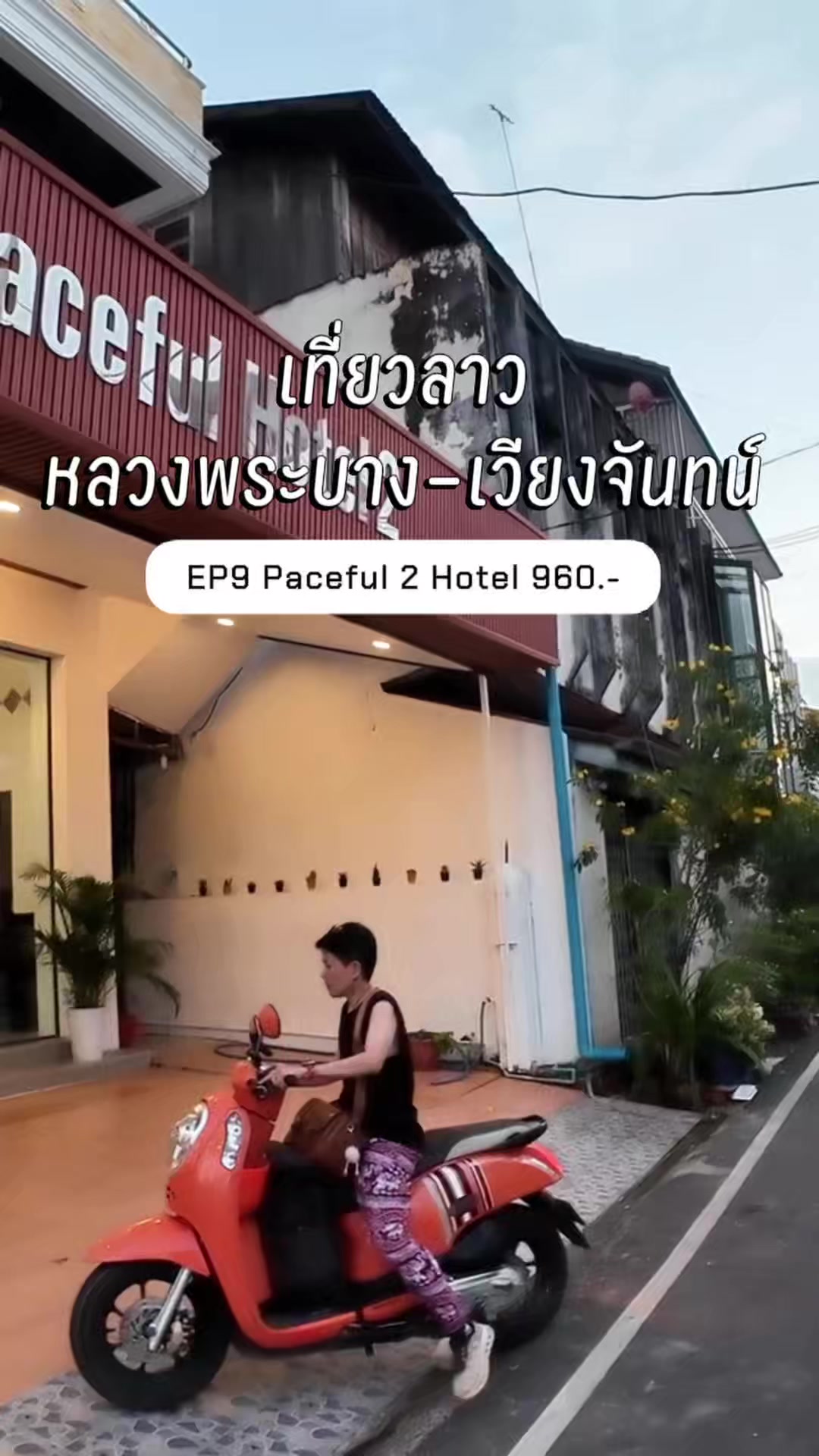 @ไม่เที่ยวก็นอน