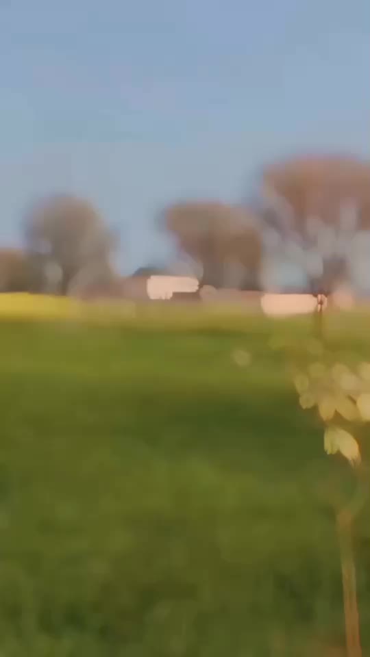 @جعفری