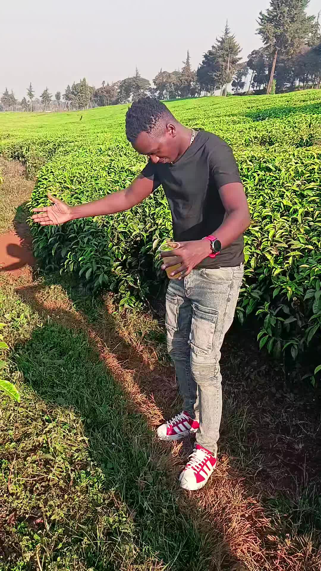 @Dan Ngugi