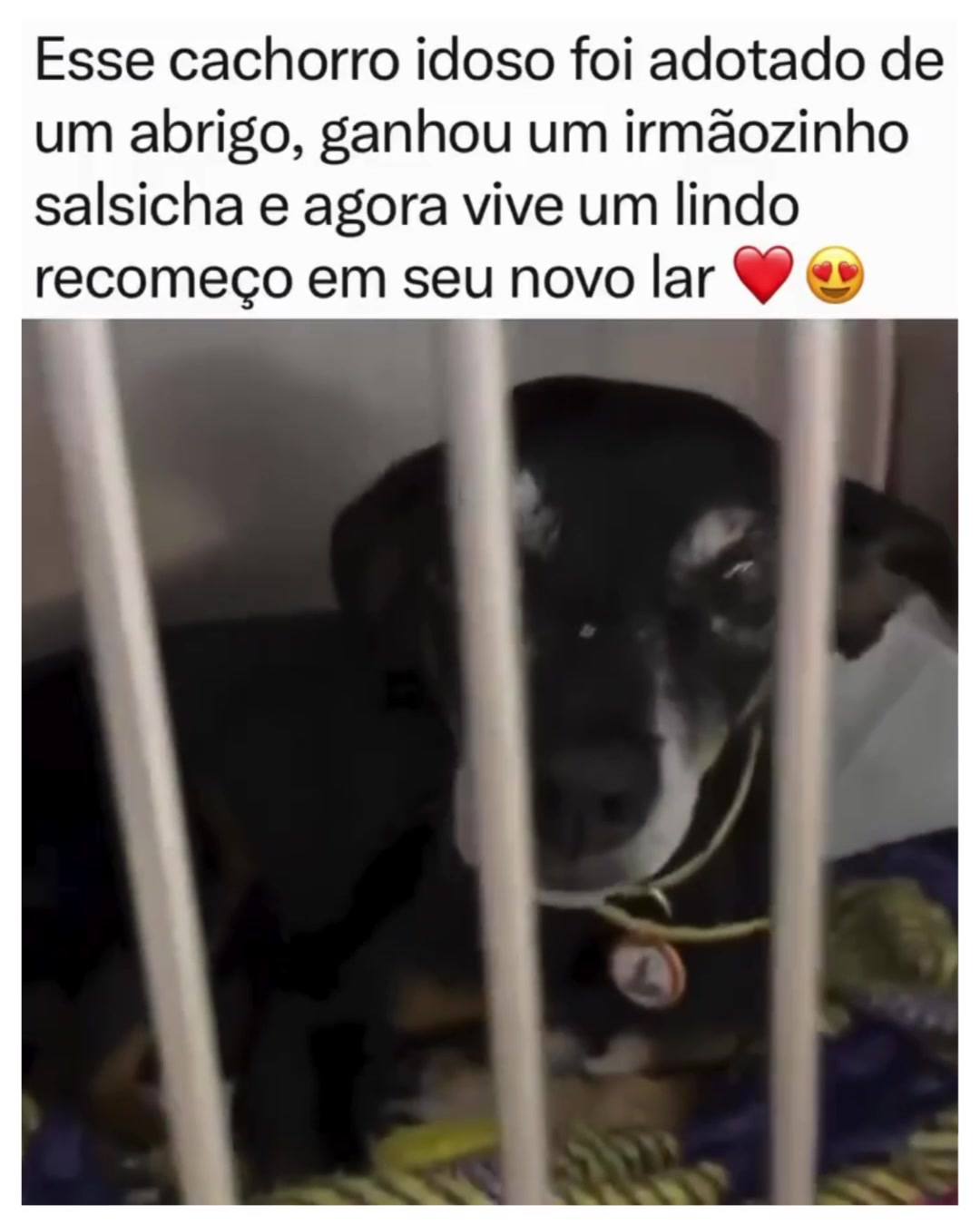 @Alfinetei
