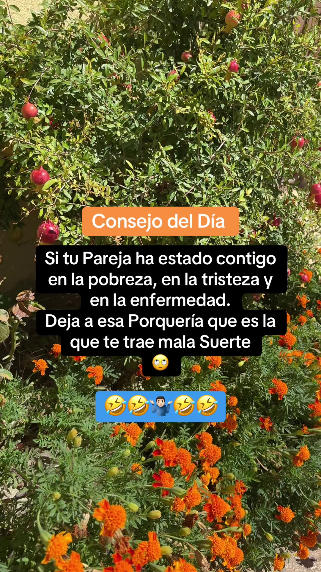 @💫Juan☄️