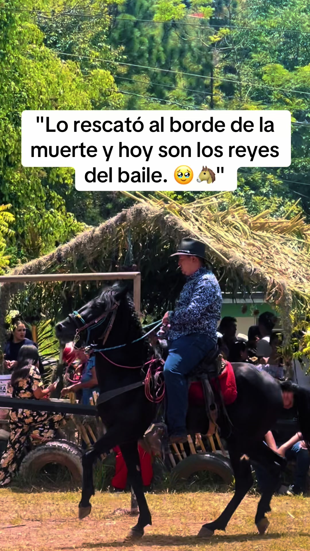 @Rohel y Mateo
