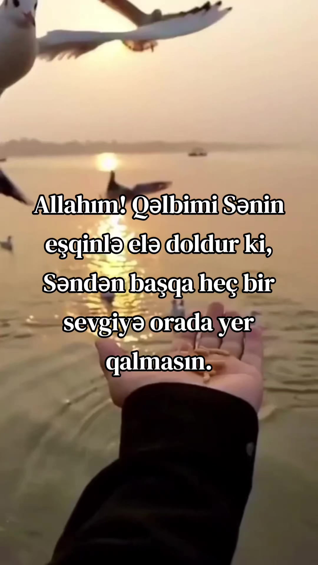 @꧁⫸࿐Əsirlər karvanı࿐⫷꧂