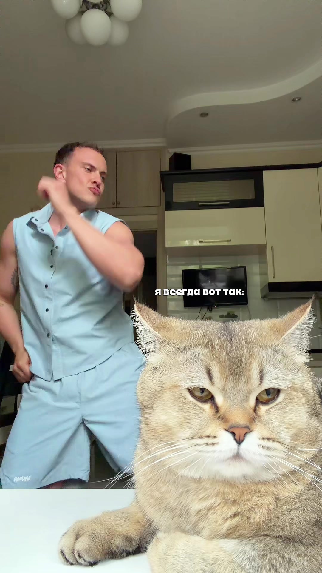 @котопапа