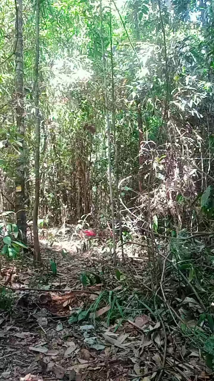 @BUKAN PECINTA GILA HORMAT