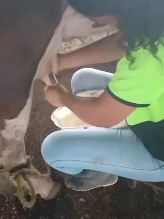 @🧸.
