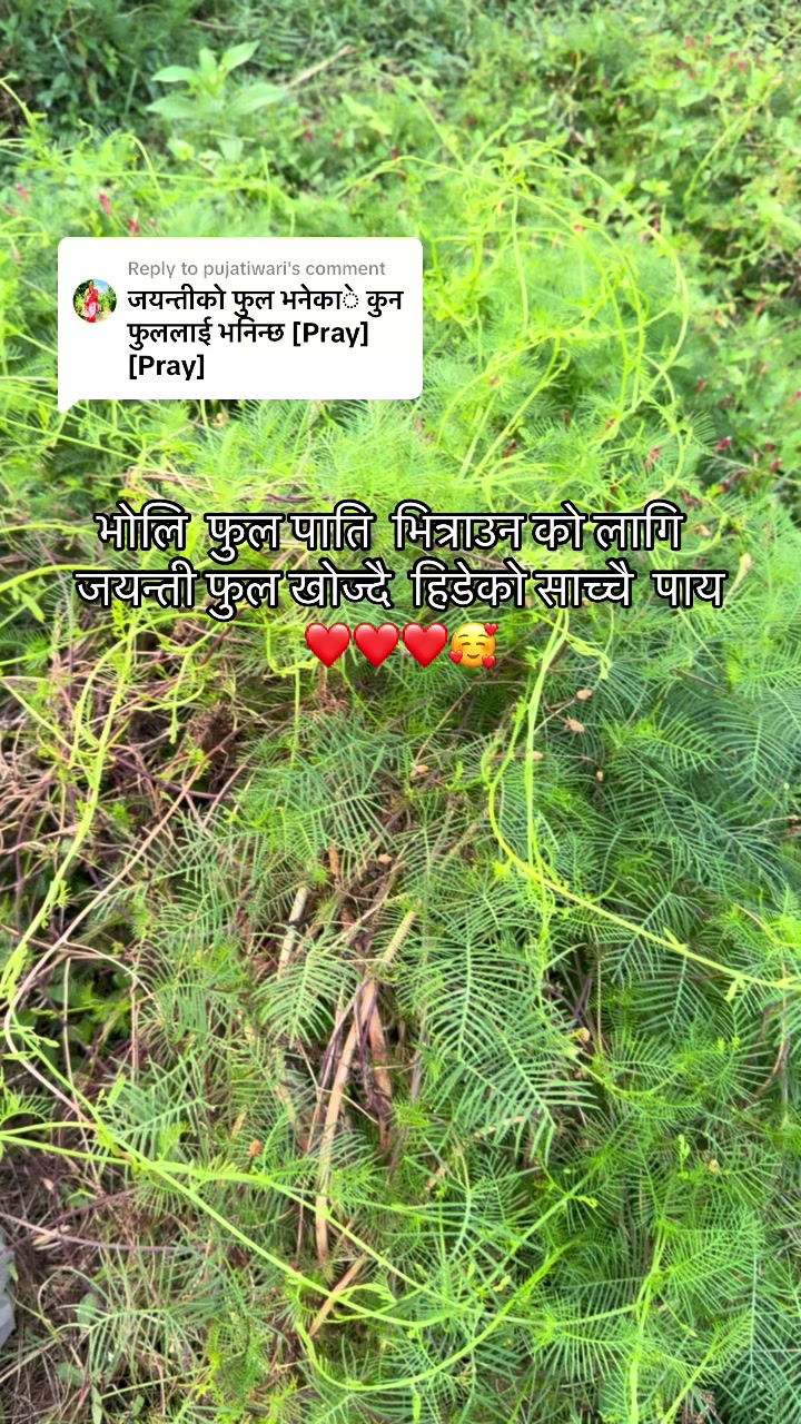 @माहालक्ष्मिधुप 🙏8888