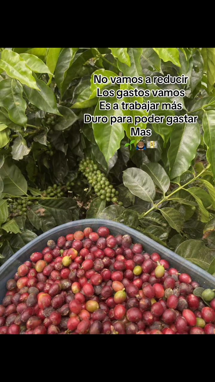 @Rojas.