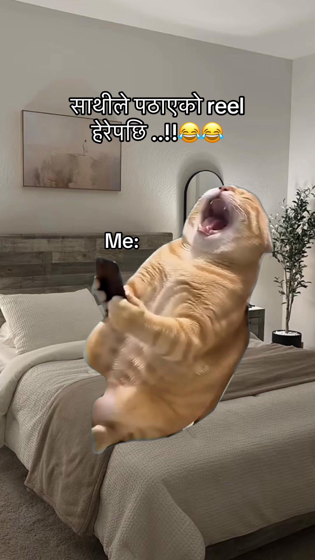 @Sarojeyy_!!