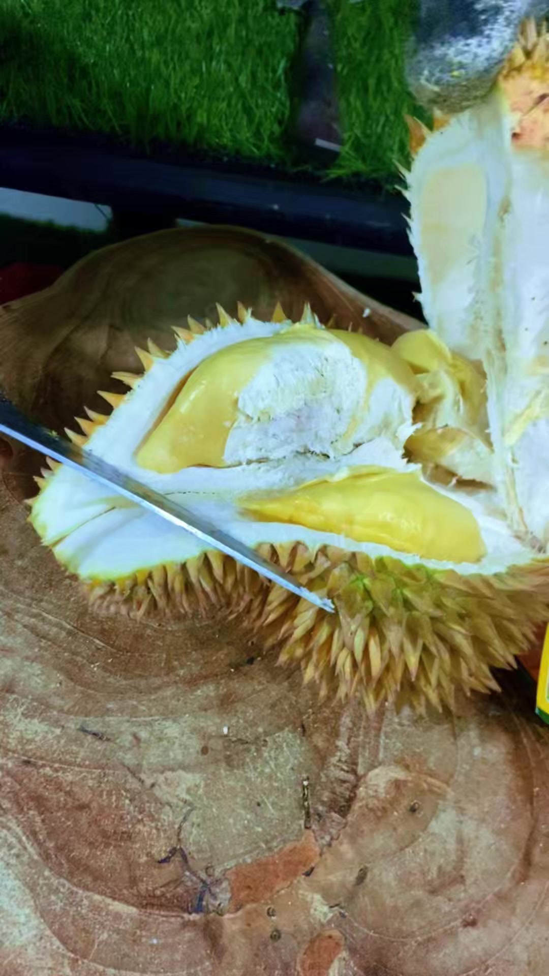 @Cicip Durian