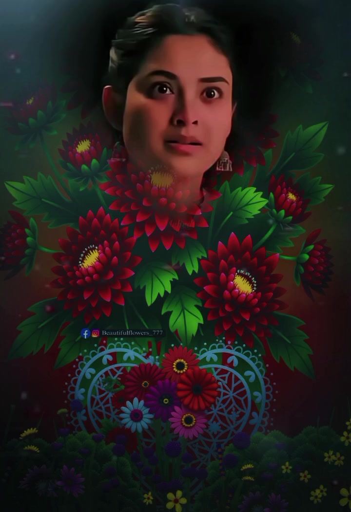 @নিঝুম রাতের তারা