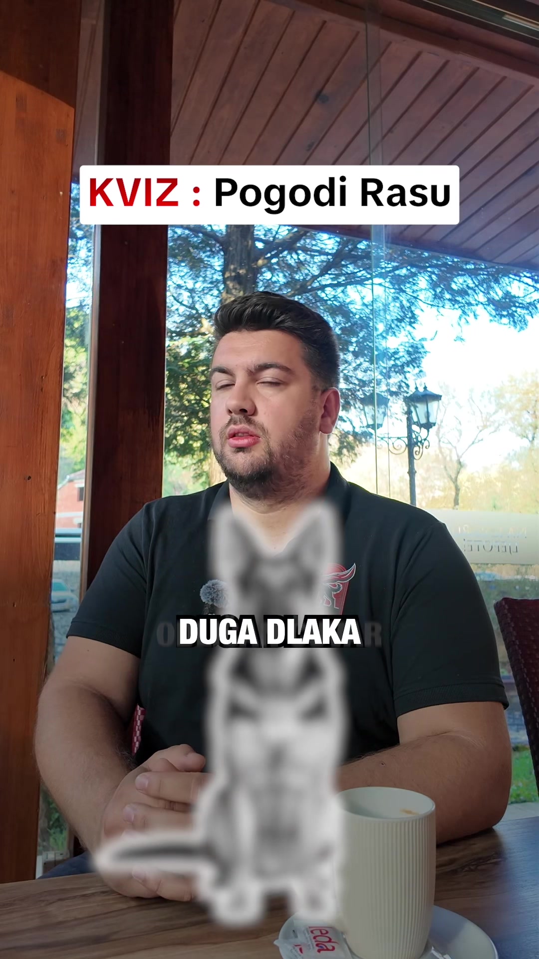 @superdog.akademija