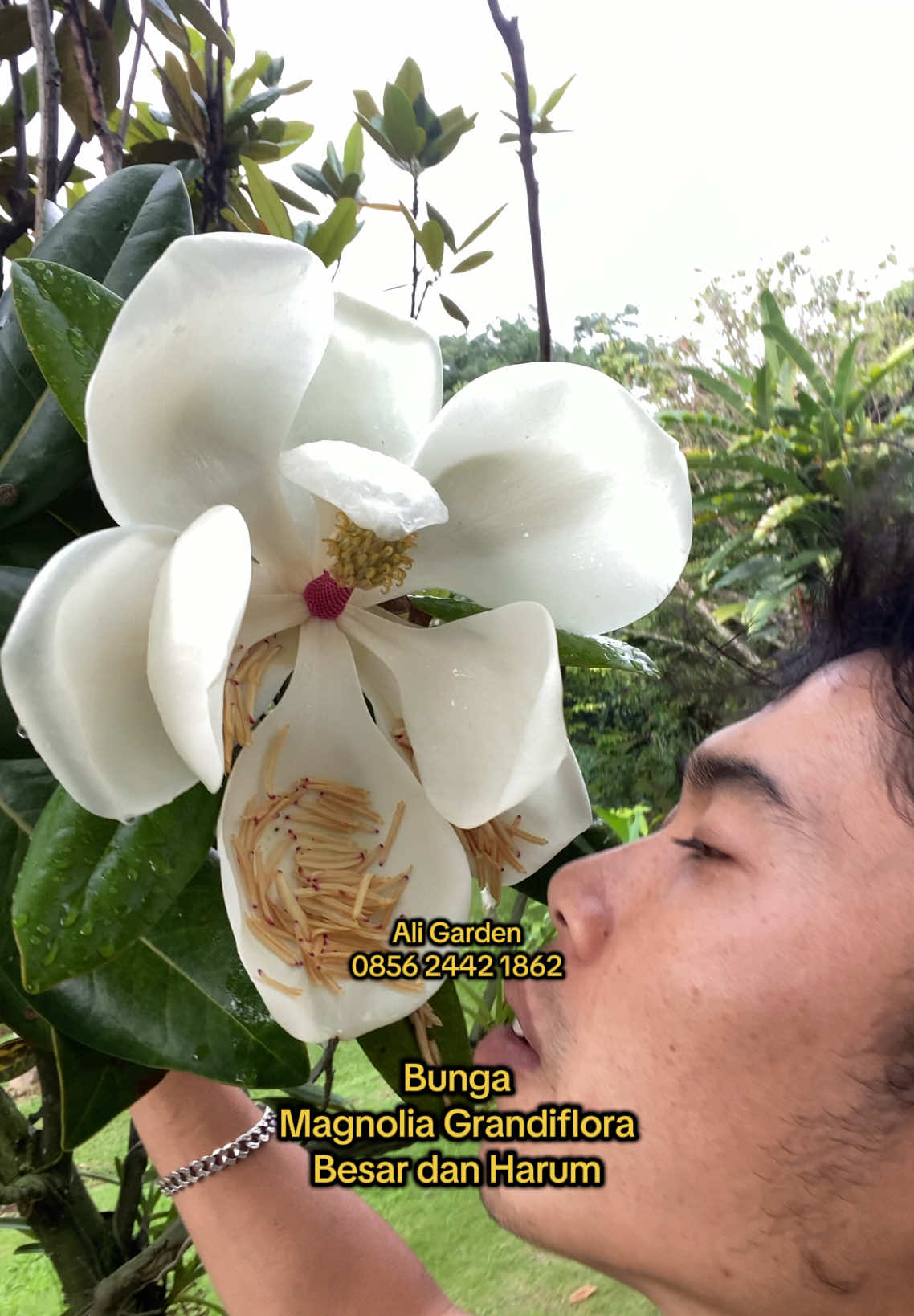 @ali_garden82