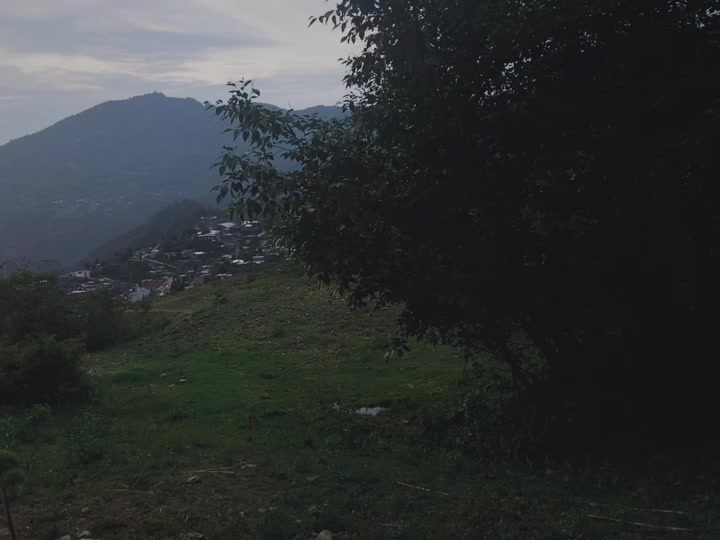 @ᛉ