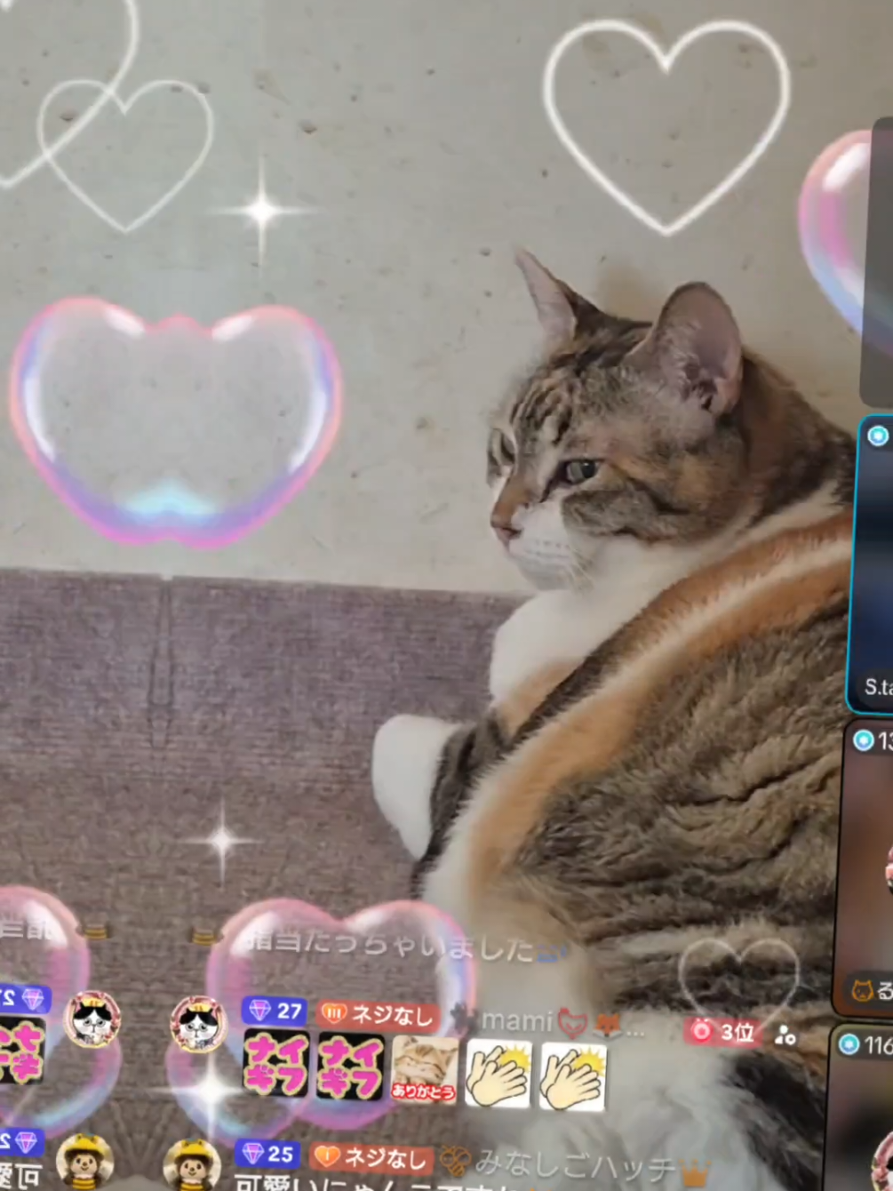 @🐈&zwj;⬛mami🐔🦊✨️🔩👑 ̖́-あ゛ド天然組