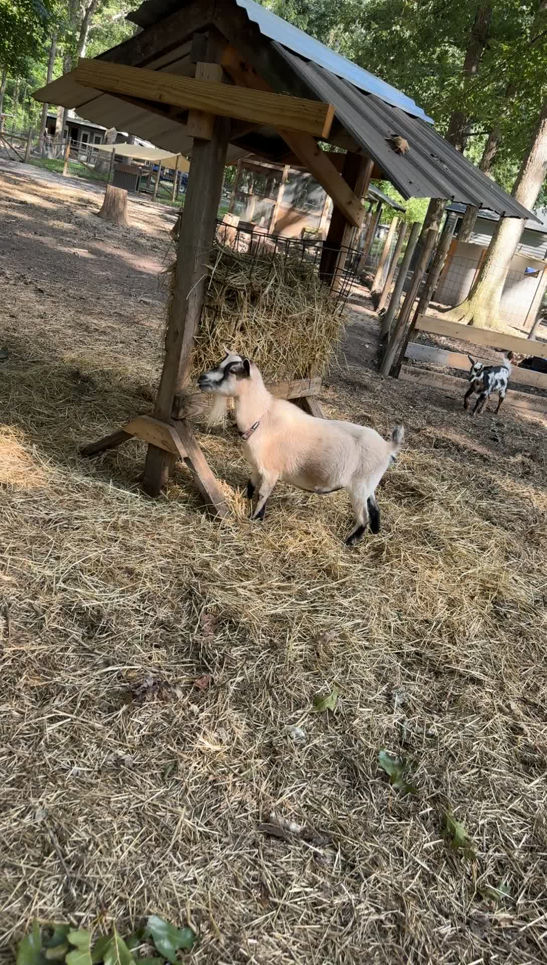@whiteoakacres