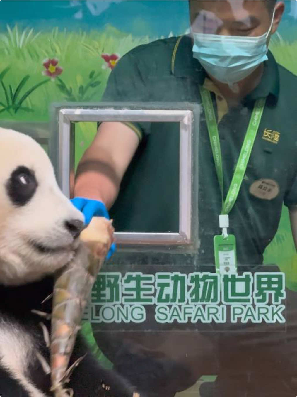 @熊猫妹珠🐼