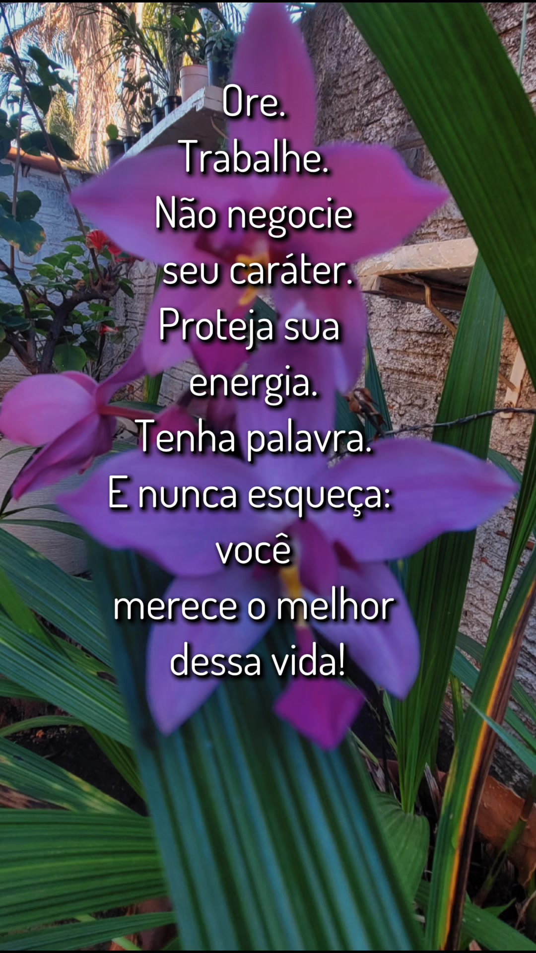 @Elaine Oliveira