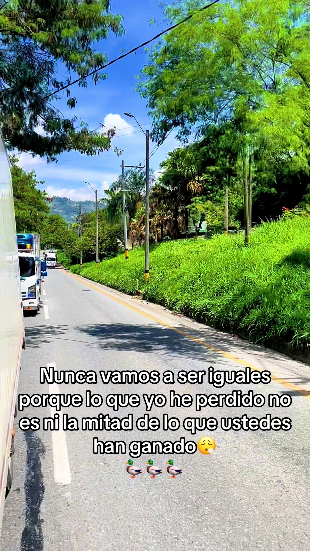 @Andres Mogollon