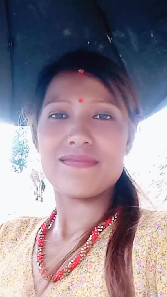 @kushum d r