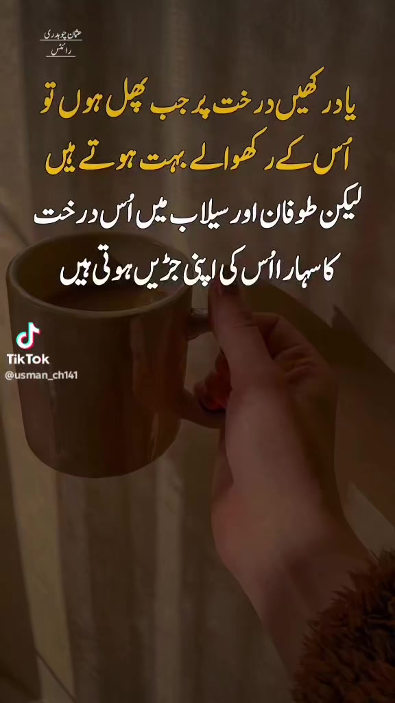 @🌹🐦🩵RAHEEL🌹MUGHAL🌹