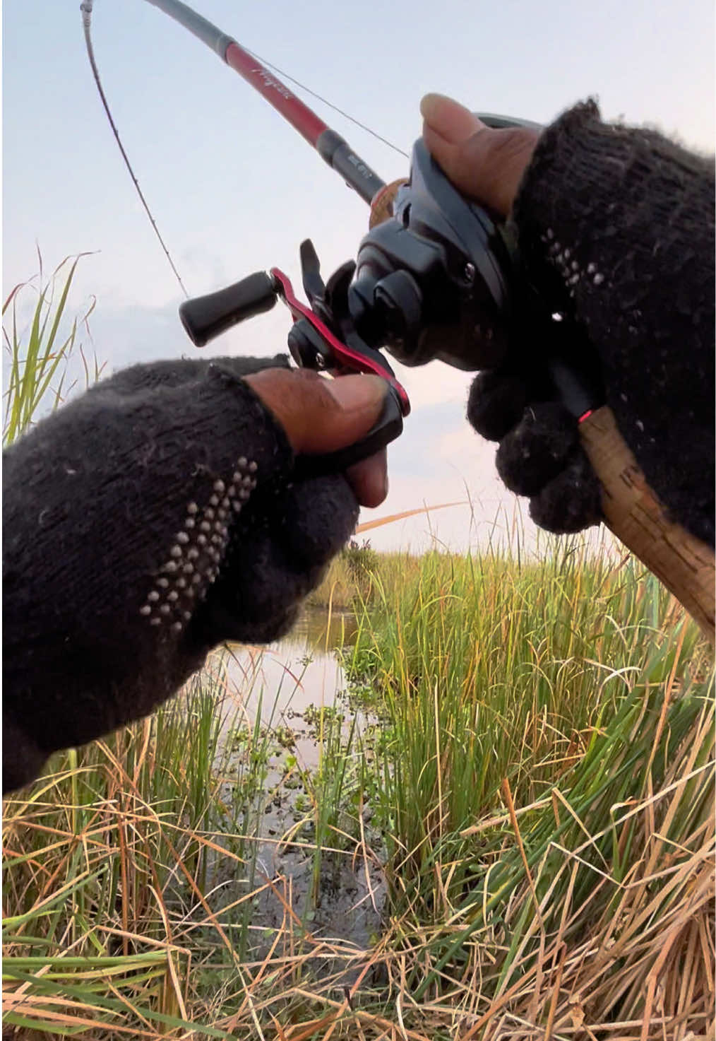 @MAFIA FISHING